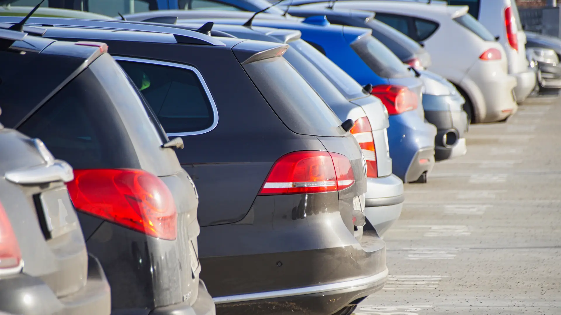 Marknadsledare 2025 – Volkswagen, Volvo & Kia i fokus